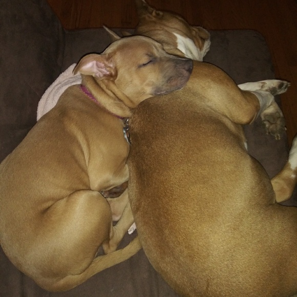 Meet your Posher, Kimberly - Picture 2 of 6